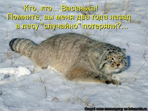 Obrazek
