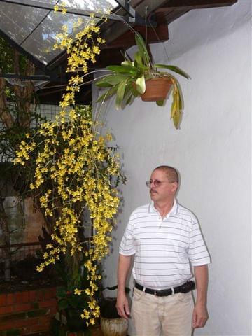 Obrazek
