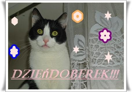 Obrazek