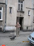 http://images63.fotosik.pl/422/4f32d6317bc45598m.jpg