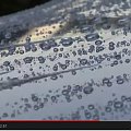 car wax valetpro