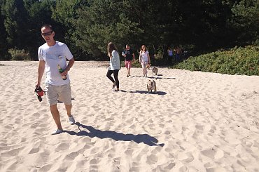 zlot buldogów angielskich. Fioletowe forum buldog-angielski.org.pl #BuldogAngielski #buldogi #FioletoweForum #zlot #Zlot2013