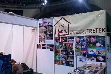 #fretka #fretki #ZooBotanica2013 #SPF #OSHF