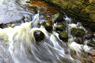 woda jak mleko #rzeka #sajna