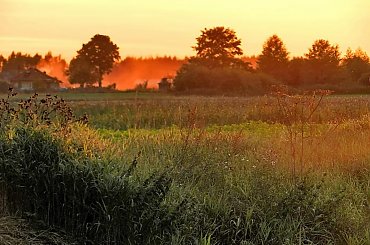 Płoną łaki, płoną moczary #łaka #mgła