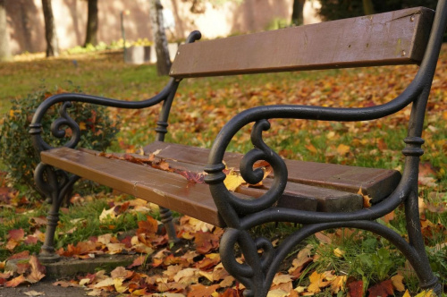 Jesienna ławka