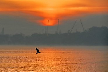 Mglisty przdświt nad Gdańskiem #zatoka #morzy #świt #prześwit #mgła