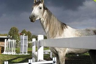 #ogrodzenie #pvc #pcv #płot #parkan #ażur #kratka #brama #furtka #pergola #przęsło #słupek