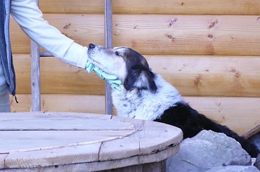 Wycieczka do browaru rzemieślniczego i Zamku w Odrzykoniu 2013 10 22 #browar #Odrzyko #rzemieślniczy #zamek