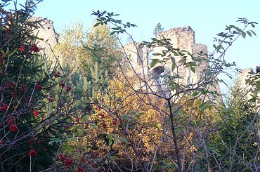 Wycieczka do browaru rzemieślniczego i Zamku w Odrzykoniu 2013 10 22 #browar #Odrzyko #rzemieślniczy #zamek