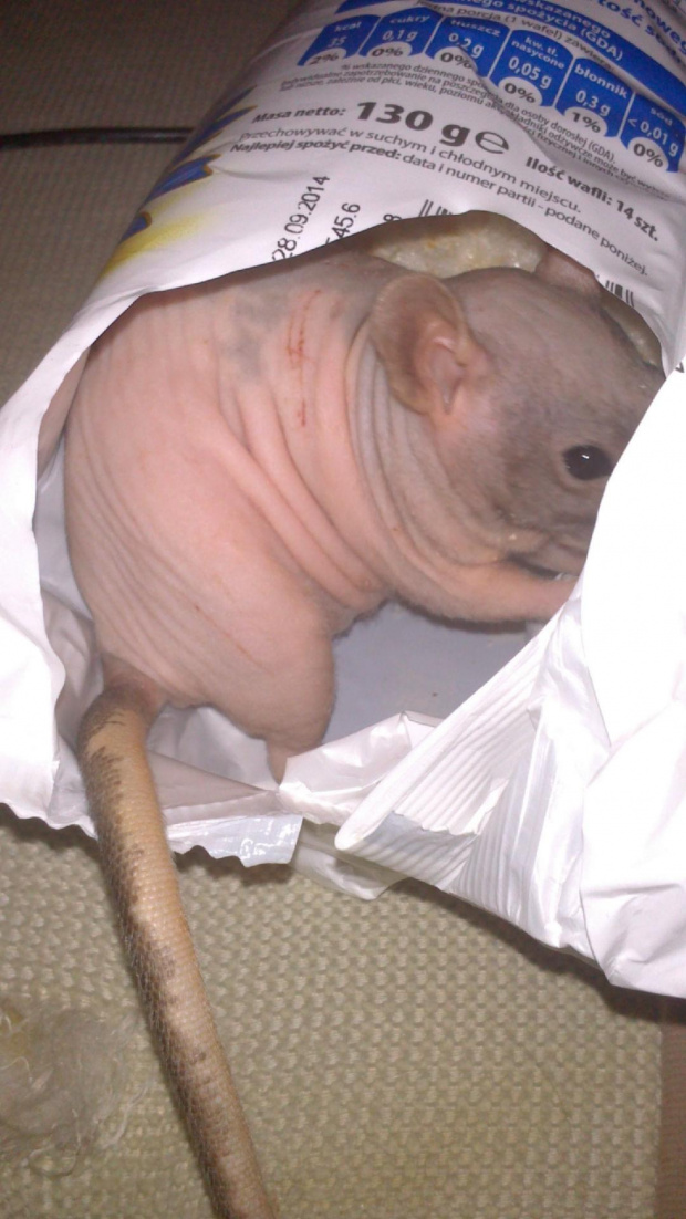 Lu