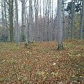 Mój pobyt w Iwoniczu Zdroju 2013 10 20 do 2013 11 13 #IwoniczZdrój