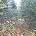 Mój pobyt w Iwoniczu Zdroju 2013 10 20 do 2013 11 13 #IwoniczZdrój