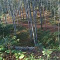 Mój pobyt w Iwoniczu Zdroju 2013 10 20 do 2013 11 13 #IwoniczZdrój