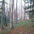 Mój pobyt w Iwoniczu Zdroju 2013 10 20 do 2013 11 13 #IwoniczZdrój