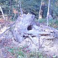 Mój pobyt w Iwoniczu Zdroju 2013 10 20 do 2013 11 13 #IwoniczZdrój