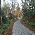 Mój pobyt w Iwoniczu Zdroju 2013 10 20 do 2013 11 13 #IwoniczZdrój