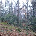 Mój pobyt w Iwoniczu Zdroju 2013 10 20 do 2013 11 13 #IwoniczZdrój
