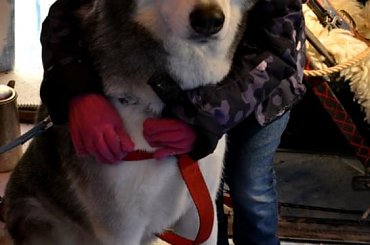 O CO JEJ CHODZI ? ;) #Arktyka #events #eventy #imprezy #Mikołaj #CZARNYRYCERZ