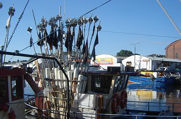 Kutry rybackie w porcie Ustka #BydgoskiWodniak #ustka #port