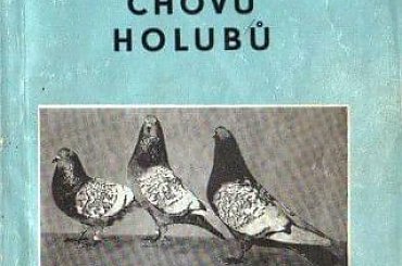 książka #gołębie #rysie #zwierzęta