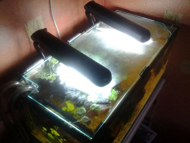 2x Aquael DecoLiht akwarium 54L 60cm długości #akwarium #aquael #decolight #małe #oświetlenie #rybki #światło