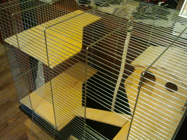#domek #klatka #szczury