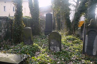 Cmentarz żydowski w Zabrzu #CmentarzŻydowskiWZabrzu #kirkuty