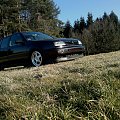 #Jetta3