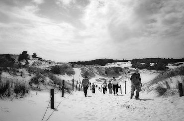 Wydmy Czołpińskie #Czołpino #Łeba #piaski #pustynia #wydmy