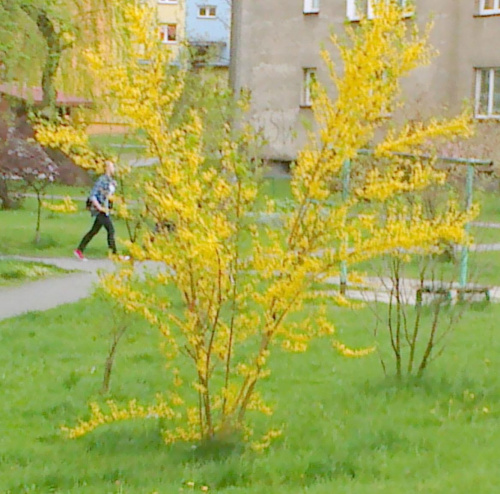 Hobby fotografia #Chrzanów #Kraków #małpolskie