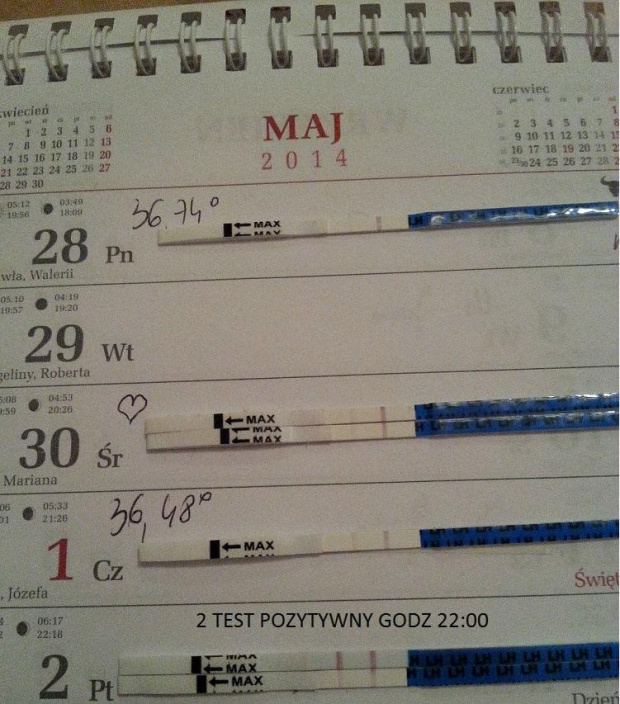 TEST OWULACYJNY