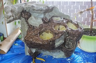 #hoya #hydroponika #paludarium #rośliny