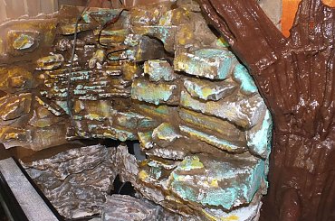 #hoya #hydroponika #paludarium #rośliny